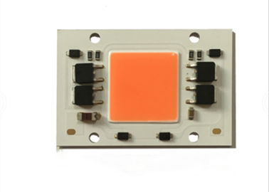 Giá xuất xưởng Driverless Full Spectrum Led Chip 100 watt COB Led cho ánh sáng phát triển