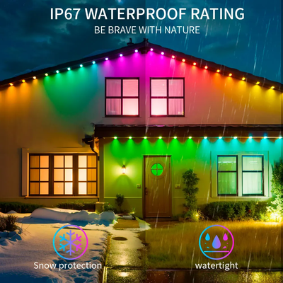 Pixel Light Giáng sinh trang trí nhà đầy màu sắc 2024 RGB có thể lập trình LED hình dạng IP65 Đèn lễ hội chống nước
