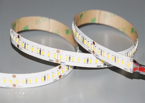 Đèn LED dải 24V 240 / M Màu trắng ấm 3000K 16,4 Ft 5m IP20 2835 SMD