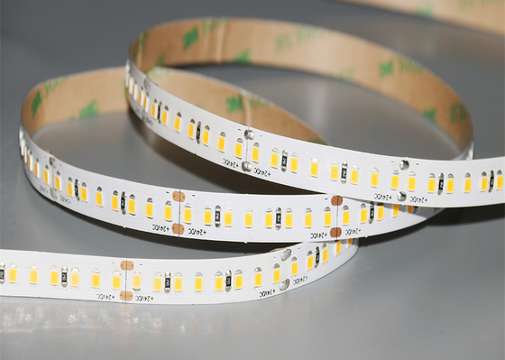 Đèn LED dải 24V 240 / M Màu trắng ấm 3000K 16,4 Ft 5m IP20 2835 SMD