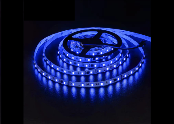 WS2805 Điểm ngắt RGBCW Năm màu băng RGB + Hai màu màu tưởng tượng Điểm ngắt RGBCW 12V24V