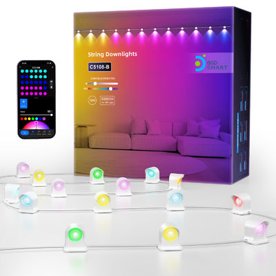RGB IP68 chống nước đèn LED để trang trí Giáng sinh