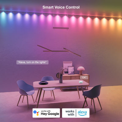 RGB IP68 chống nước đèn LED để trang trí Giáng sinh