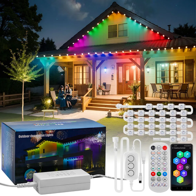 Pixel Light Giáng sinh trang trí nhà đầy màu sắc 2024 RGB có thể lập trình LED hình dạng IP65 Đèn lễ hội chống nước